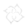 Yoga Alliance Registered Yoga Teacher